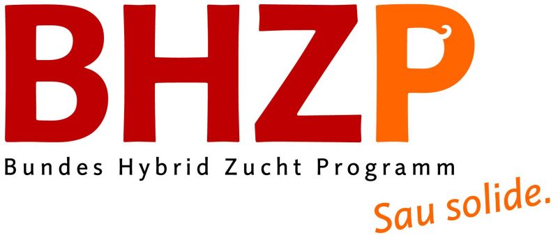 Zur Website der BHZP GmbH