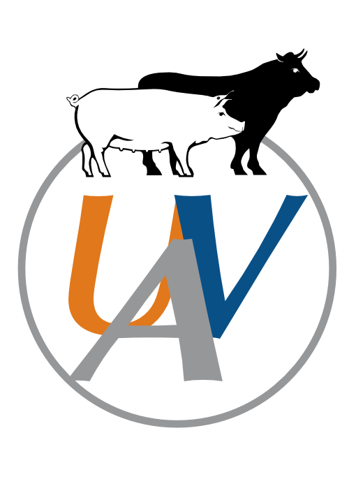 UVA Logo